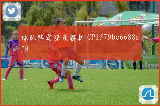 球队阵容深度解析 CP1579bc6688af9